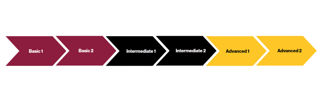 Graphic of class levels